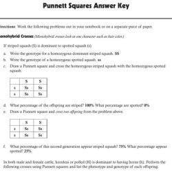 Monohybrid cross practice answer key