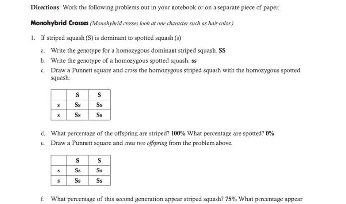 Monohybrid cross practice answer key