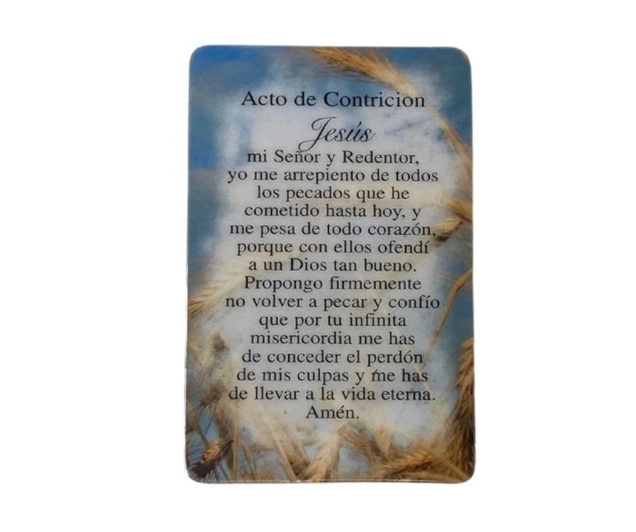 Act of contrition in spanish