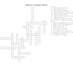 Genetics and heredity crossword puzzle answer key