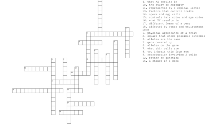 Genetics and heredity crossword puzzle answer key