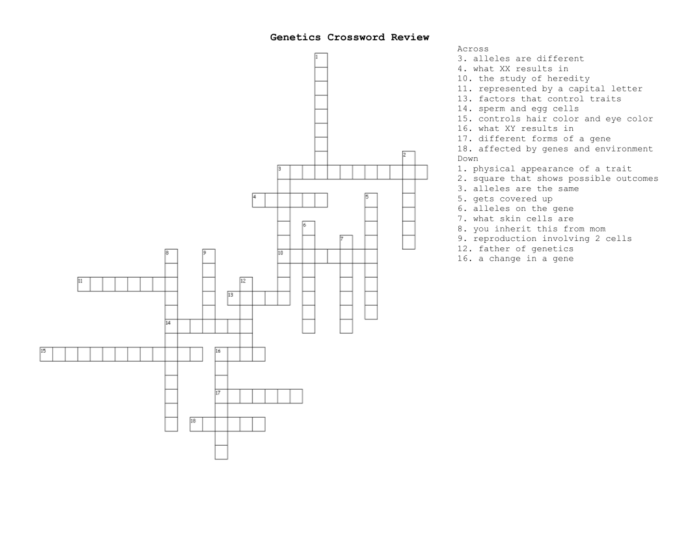 Genetics and heredity crossword puzzle answer key