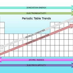 Periodic trends ionization energy worksheet answers